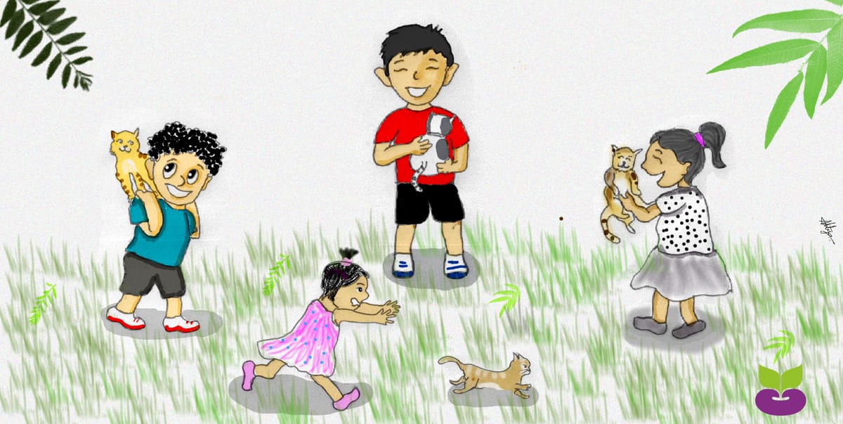 Story: Venkat and the Kittens